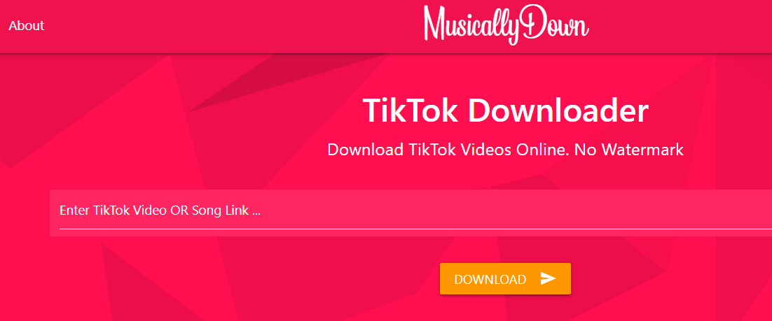 Downloading TikTok Videos Without Watermark With MusicallyDown