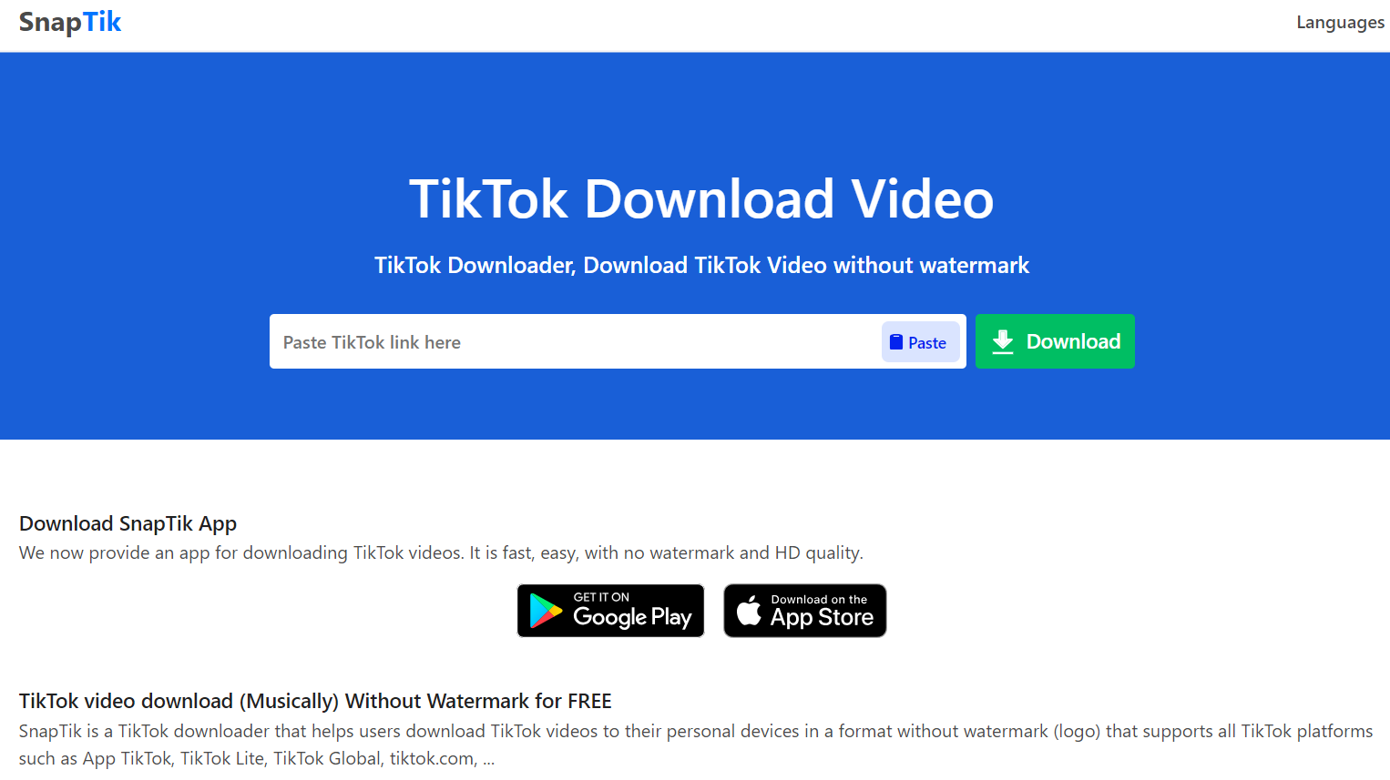 Downloading TikTok Videos Without Watermark with SnapTik